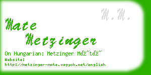 mate metzinger business card